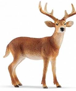 Фигурка - Белохвостый олень-самец (Schleich, 14818)